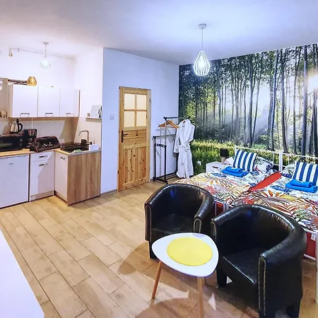 Nowy 1 Przy Termach Cieplickich *