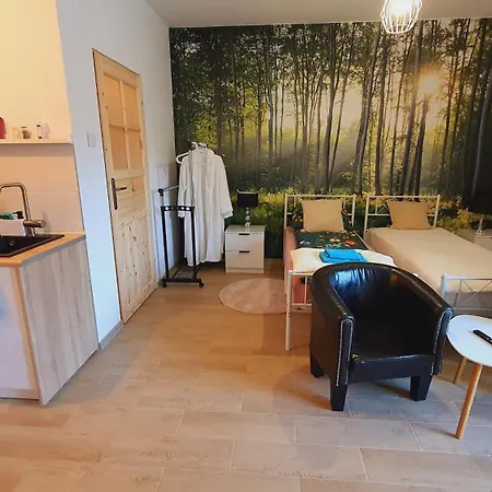 Nowy 1 Przy Termach Cieplickich Appartement Jelenia Góra